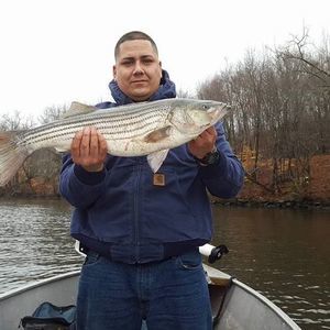 Meet your Posher, Glenn